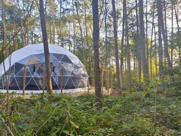 NEW Woodland Wellness Dome
