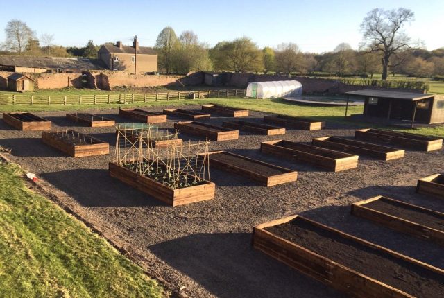 Renovation of the Walled Kitchen Garden